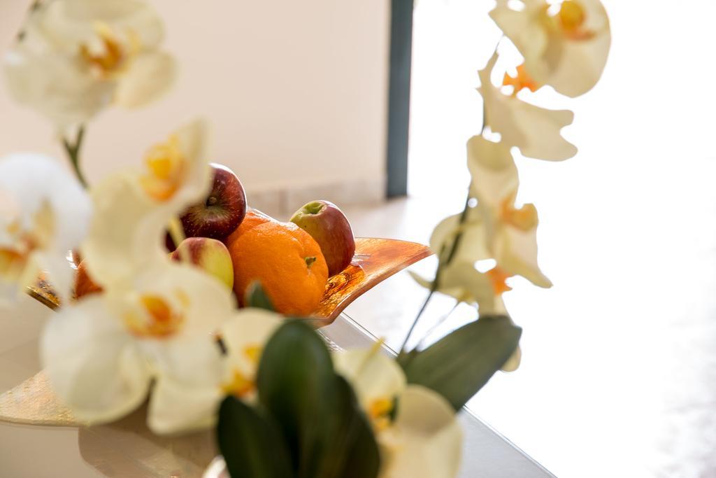 Dina Apartments Razáta エクステリア 写真